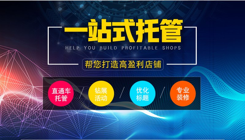站群程序出售 —— 行业动态与前景分析