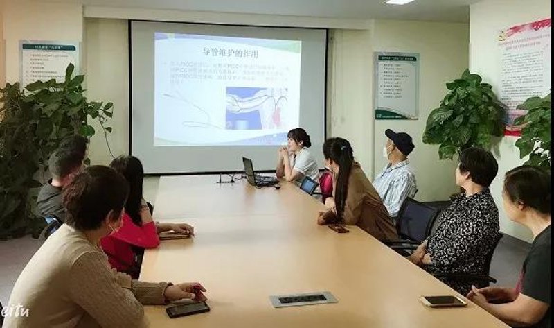 站群系统开发：如何为网站带来流量与效益？